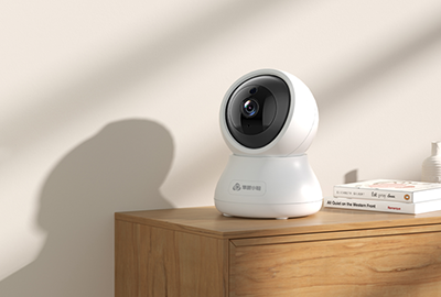 國內4G攝像頭市場分析