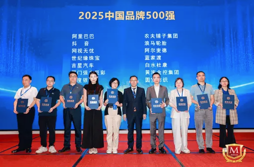 品牌價值再升級！網視無憂榮膺“2025中國品牌500強”&“2025品牌強國行業榜·十大領軍品牌”